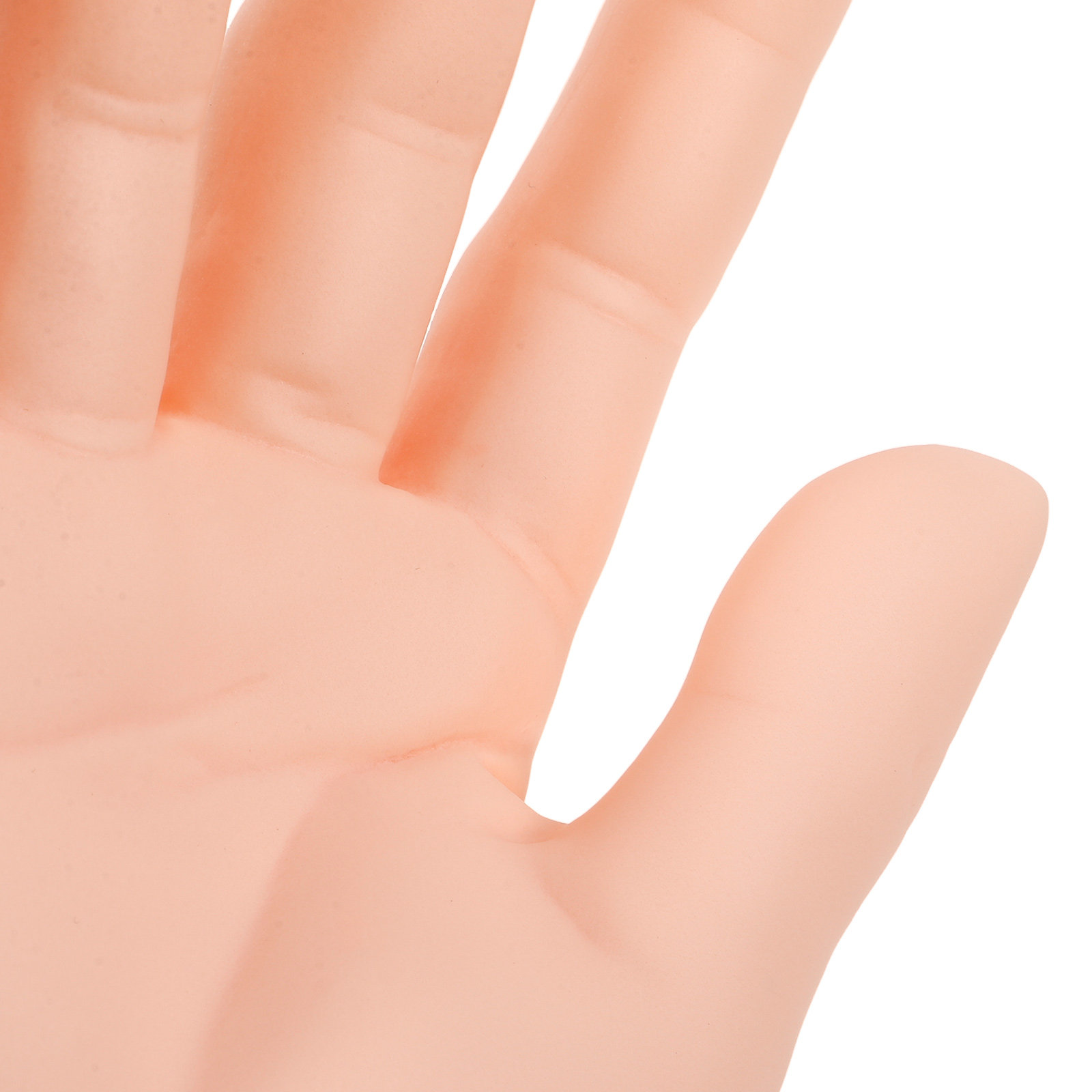 หุ่นโชว์มือชาย สีสมจริง ขาตั้ง - Jewelry For Watches บทวิจารณ์และราคา